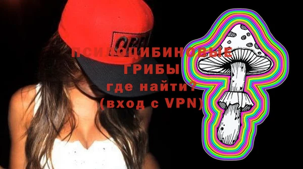 молекула духа Медвежьегорск