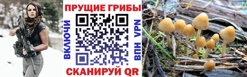 цены наркотик  Макаров  hydra рабочий сайт  Псилоцибиновые грибы мухоморы 